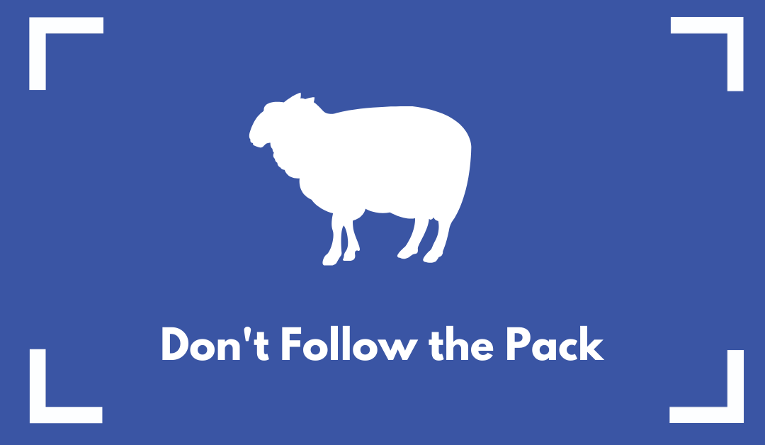 Dont Follow the Pack